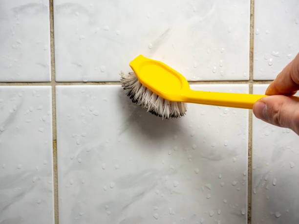 Best Residential Mold Remediation in Woodside, PA